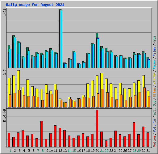 Daily usage for August 2021