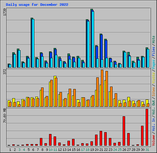 Daily usage for December 2022