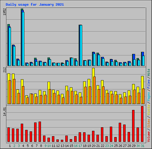 Daily usage for January 2021