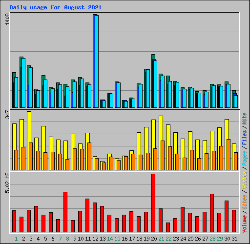 Daily usage for August 2021