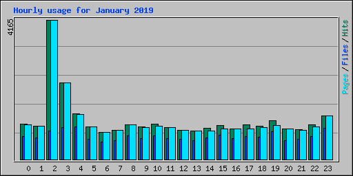 Hourly usage for January 2019