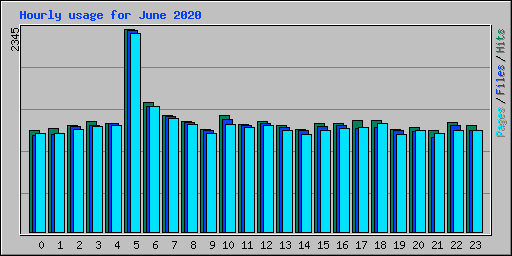 Hourly usage for June 2020