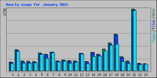 Hourly usage for January 2021