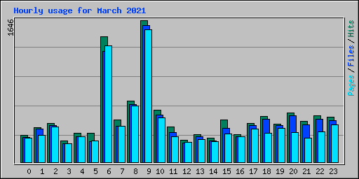 Hourly usage for March 2021