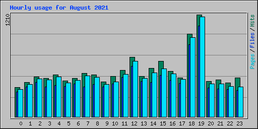 Hourly usage for August 2021