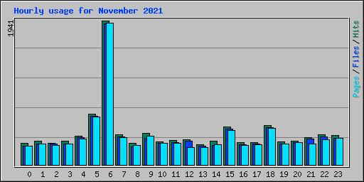 Hourly usage for November 2021