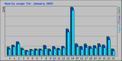 Hourly usage for January 2022