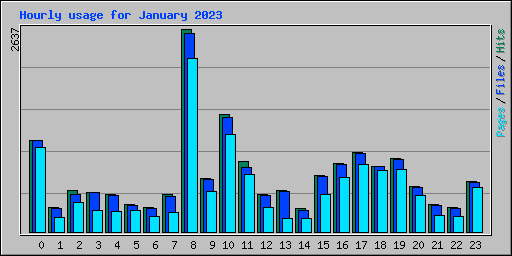 Hourly usage for January 2023