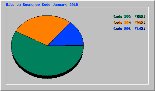 Hits by Response Code January 2019