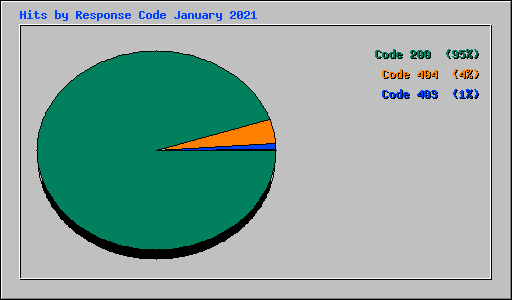 Hits by Response Code January 2021