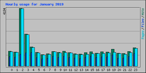 Hourly usage for January 2019