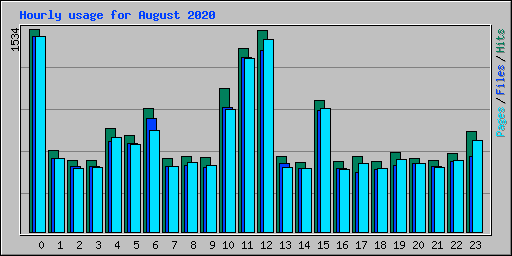 Hourly usage for August 2020