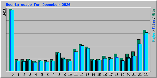 Hourly usage for December 2020