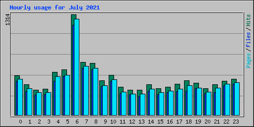 Hourly usage for July 2021