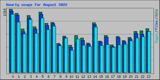 Hourly usage for August 2022
