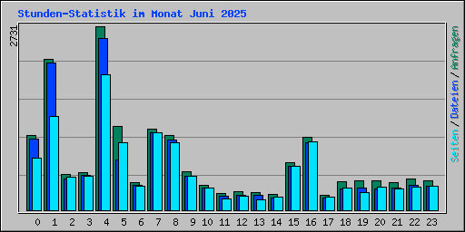 Stunden-Statistik im Monat Juni 2025