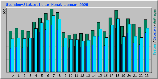 Stunden-Statistik im Monat Januar 2026