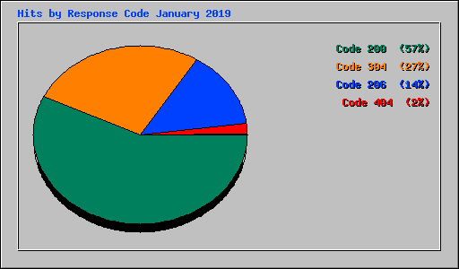 Hits by Response Code January 2019